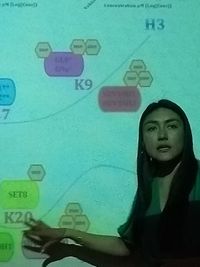 Brain Meeting' presentation given by Dr Gabriela Vilema Enriquez from University of Oxford