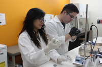 Izan processing hair samples collected in the lab to measure cortisol content